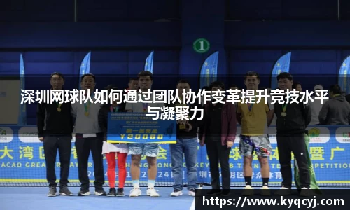 深圳网球队如何通过团队协作变革提升竞技水平与凝聚力